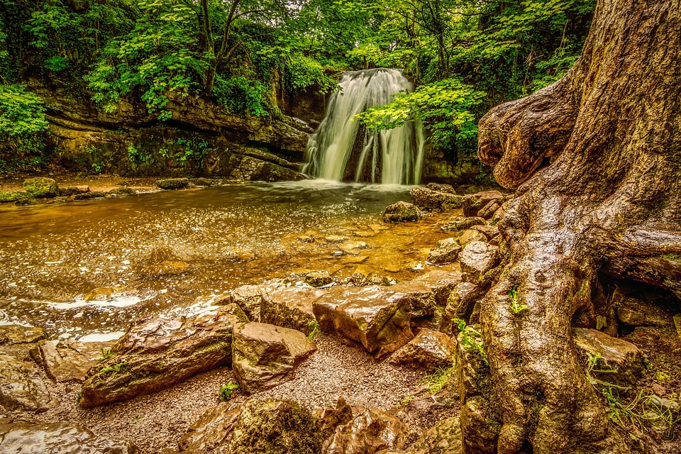 Beautiful Photo landscape leaf