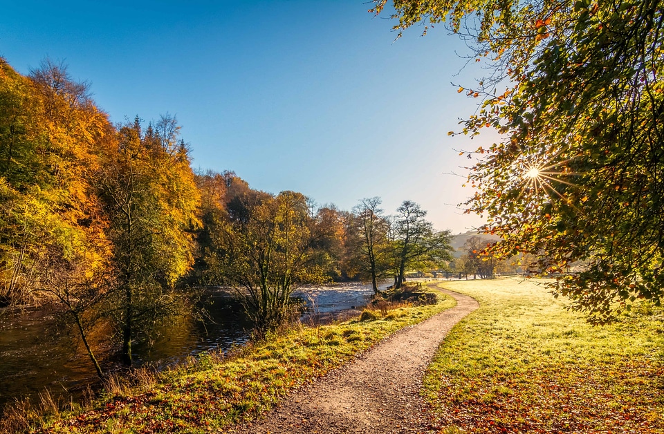 Autumn autumn season landscape