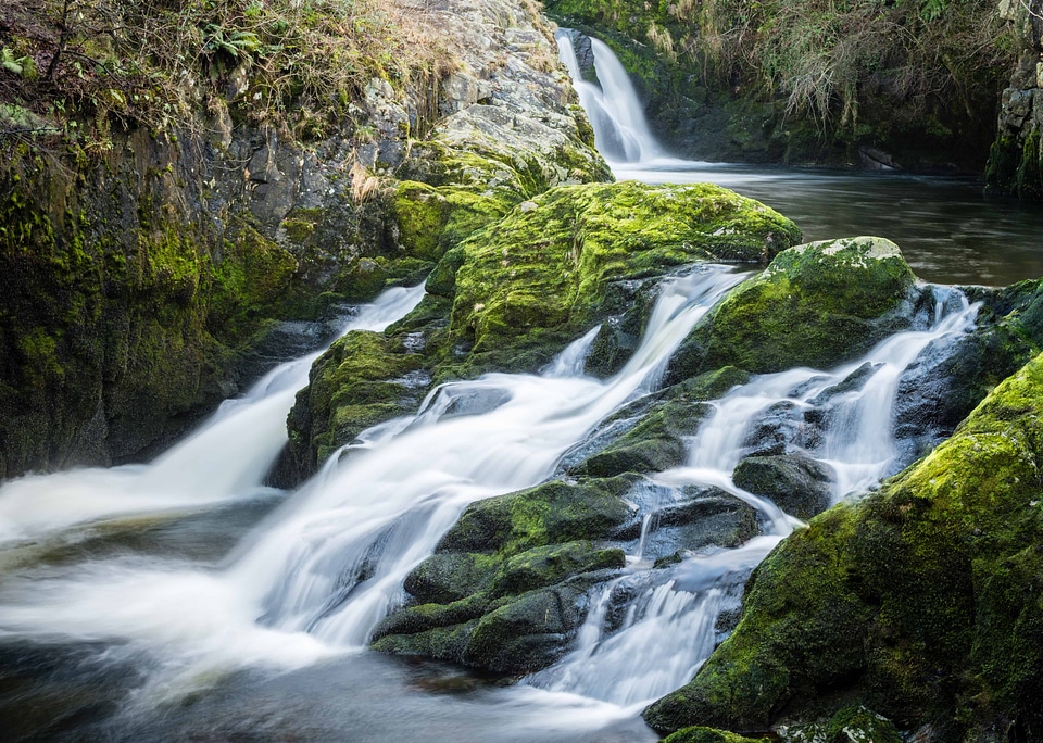 Creek landscape moss