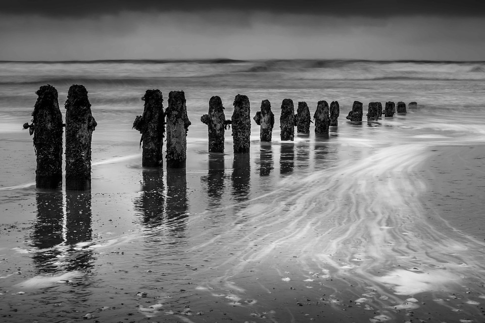 Beach black black and white