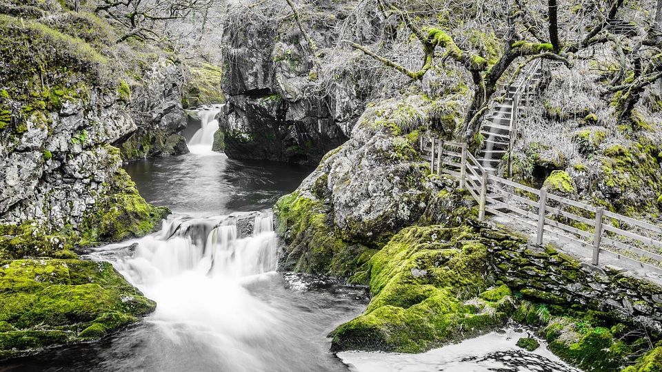 Creek forest landscape photo