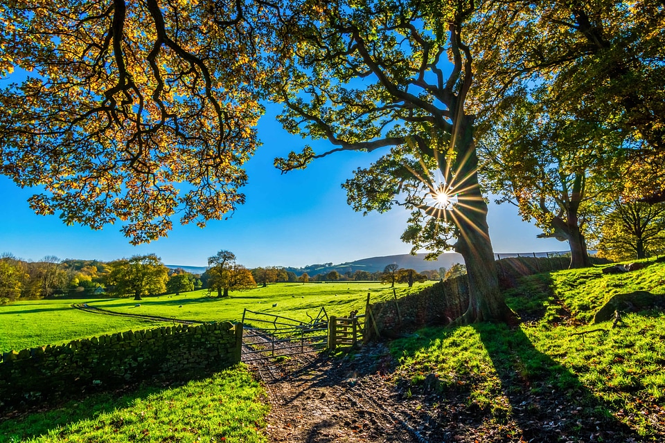 Autumn autumn season beautiful photo