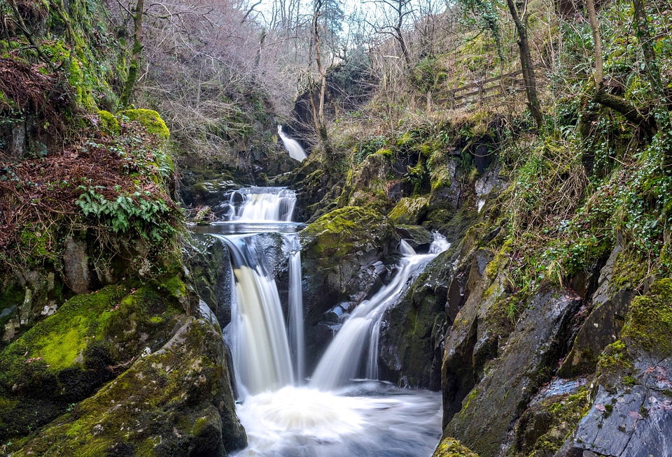 Landscape nature stream