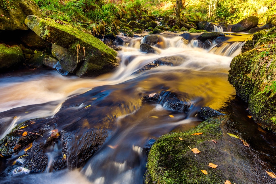 Beautiful Photo landscape moss photo