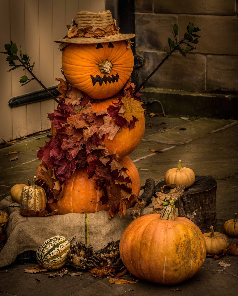 Autumn autumn season decoration
