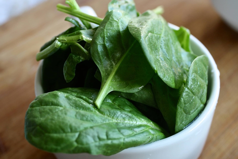 Salad leaf lettuce