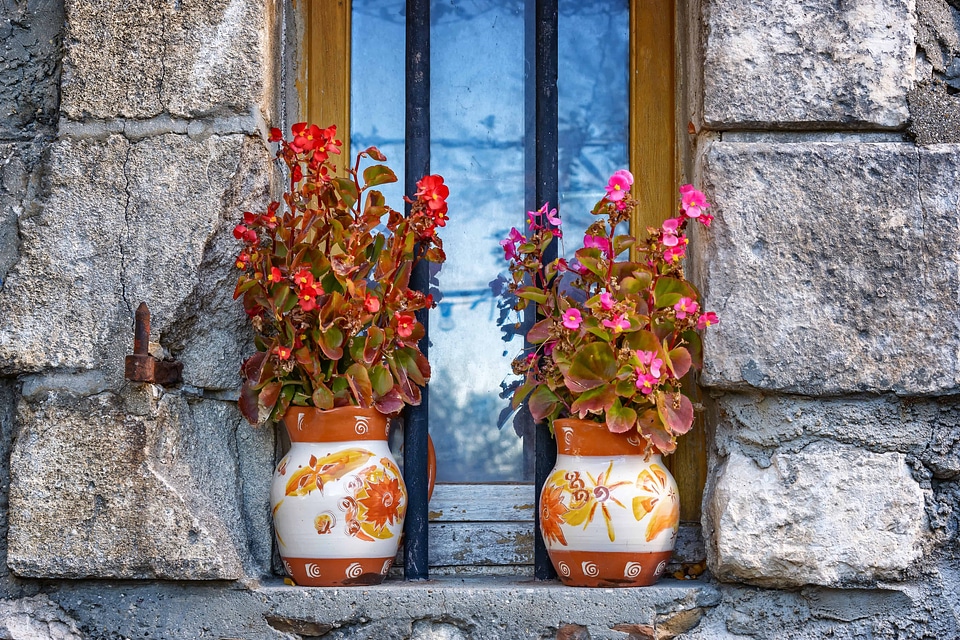 Architecture beautiful flowers facade
