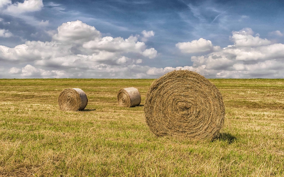 Agriculture autumn beautiful photo