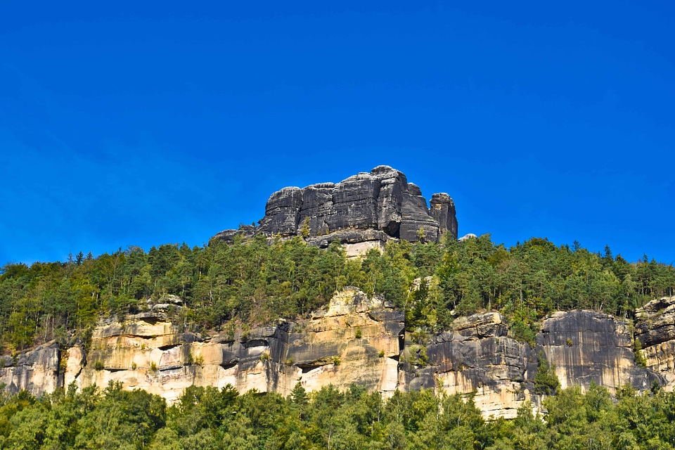 Branch cliff ecology