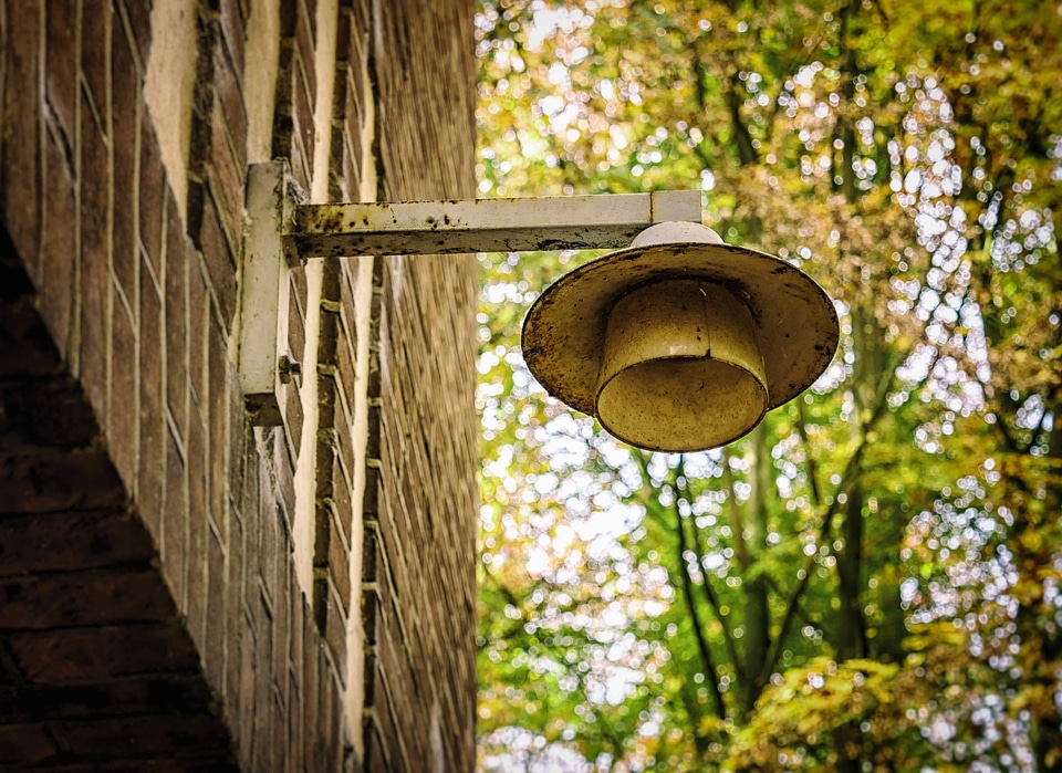 Architecture lamp leaf