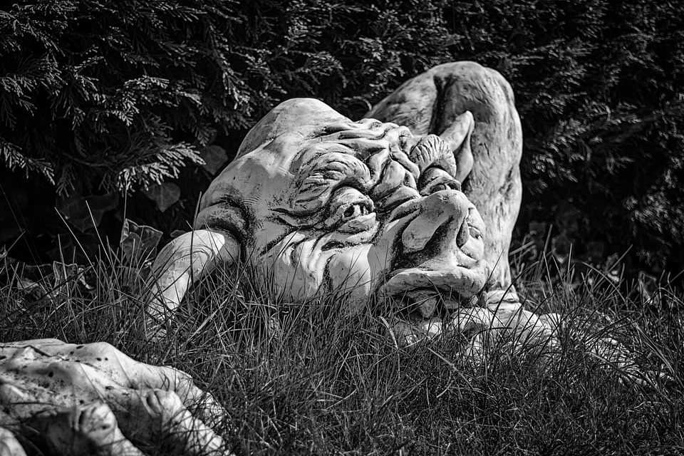 Art black and white field
