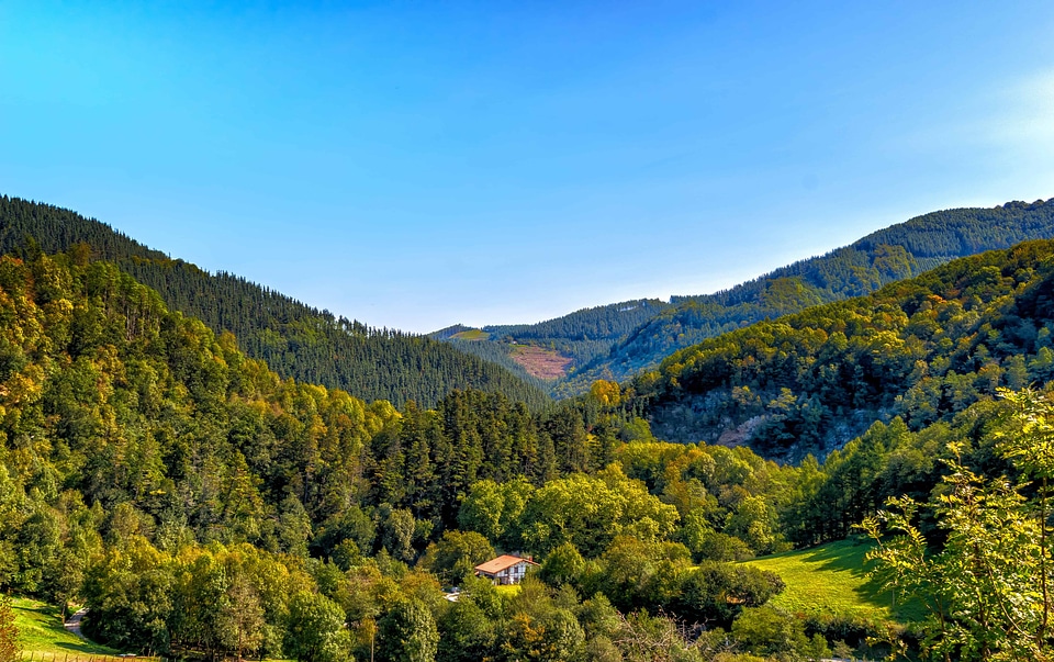 Branch countryside ecology
