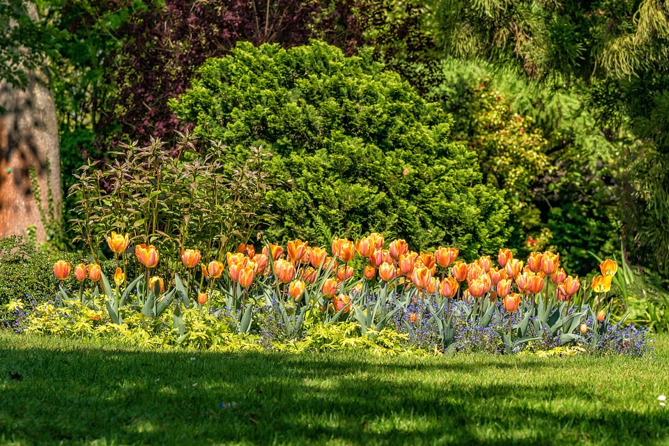 Agriculture beautiful flowers blooming