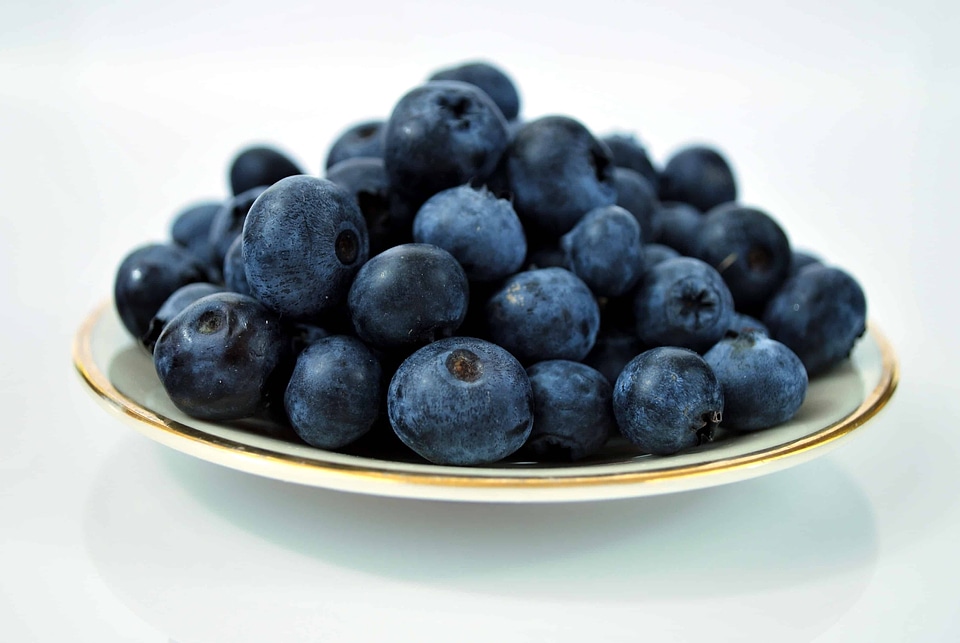Antioxidant beautiful photo berry