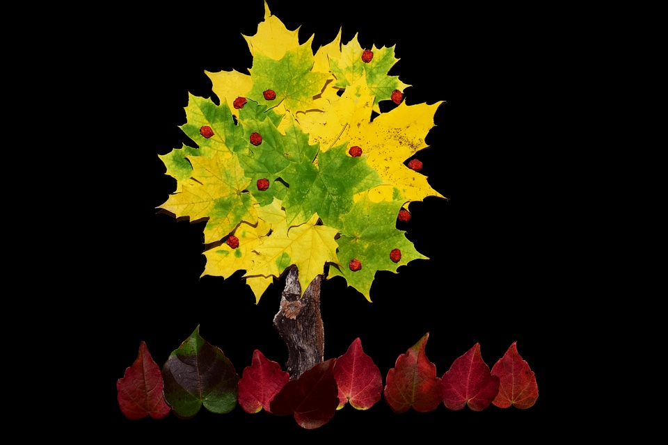Art autumn autumn season