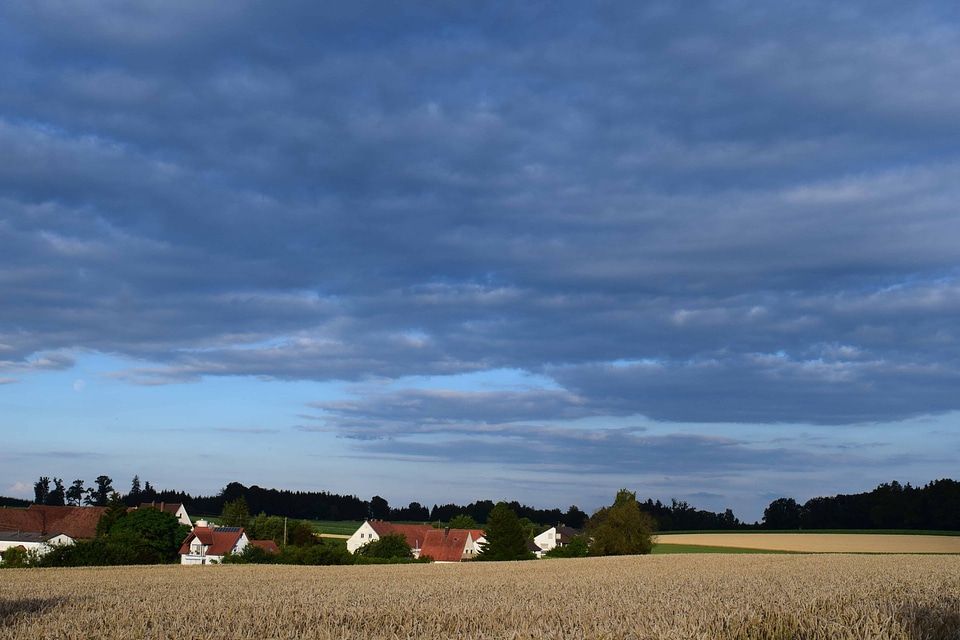 Agriculture blue sky countryside