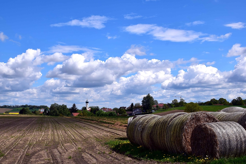 Agriculture beautiful photo cloud