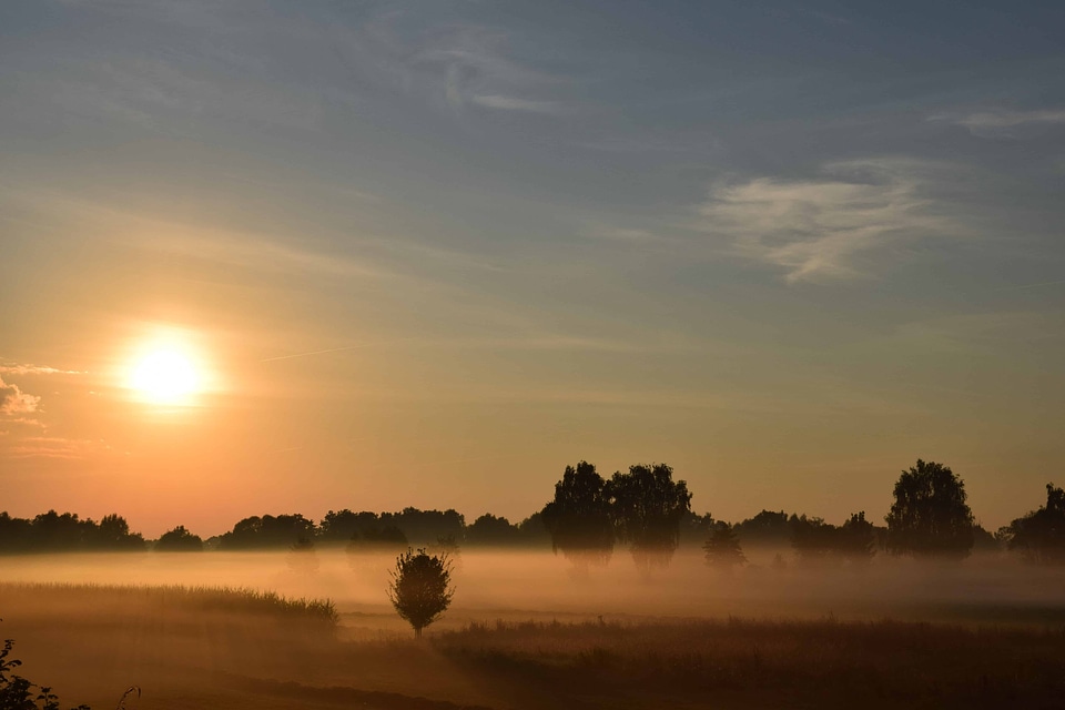 Cloud field fog