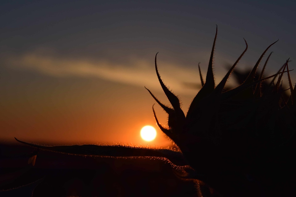 Dusk evening landscape photo