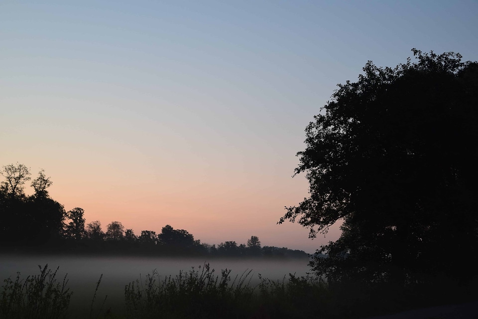 Fog landscape nature