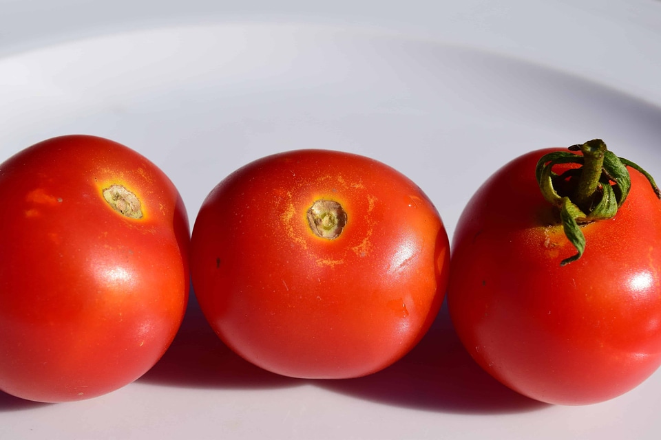 Agriculture delicious diet