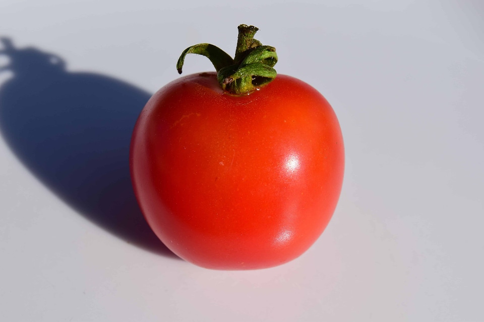 Agriculture calorie delicious