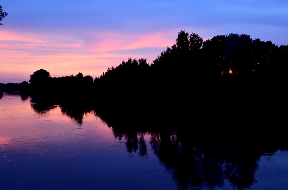 Coast forest lake