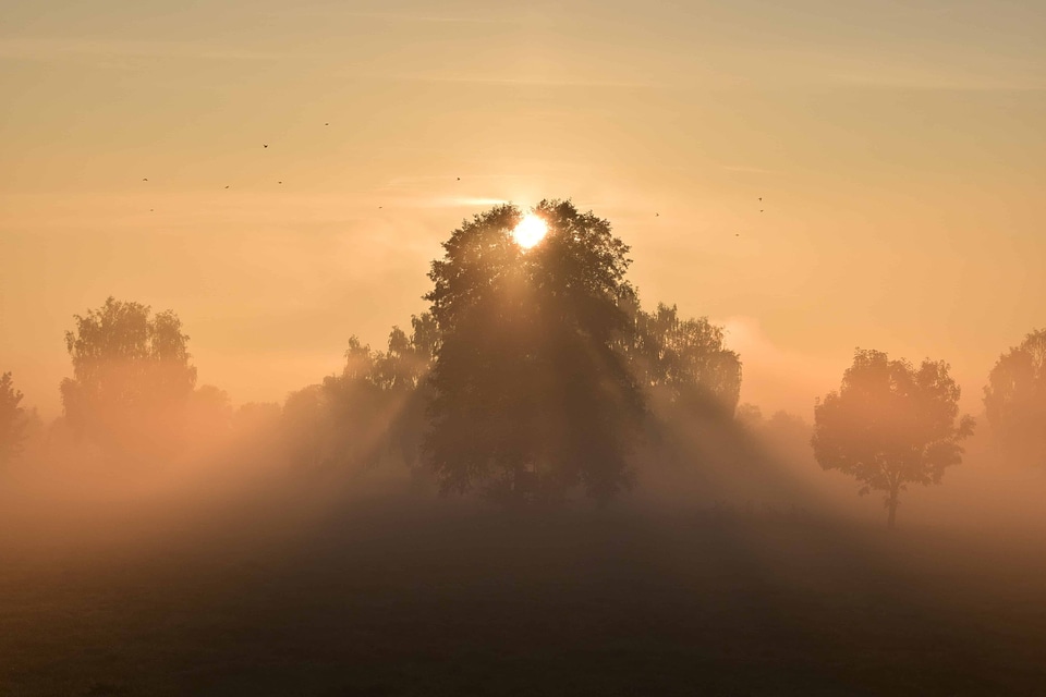 Backlight dark dawn