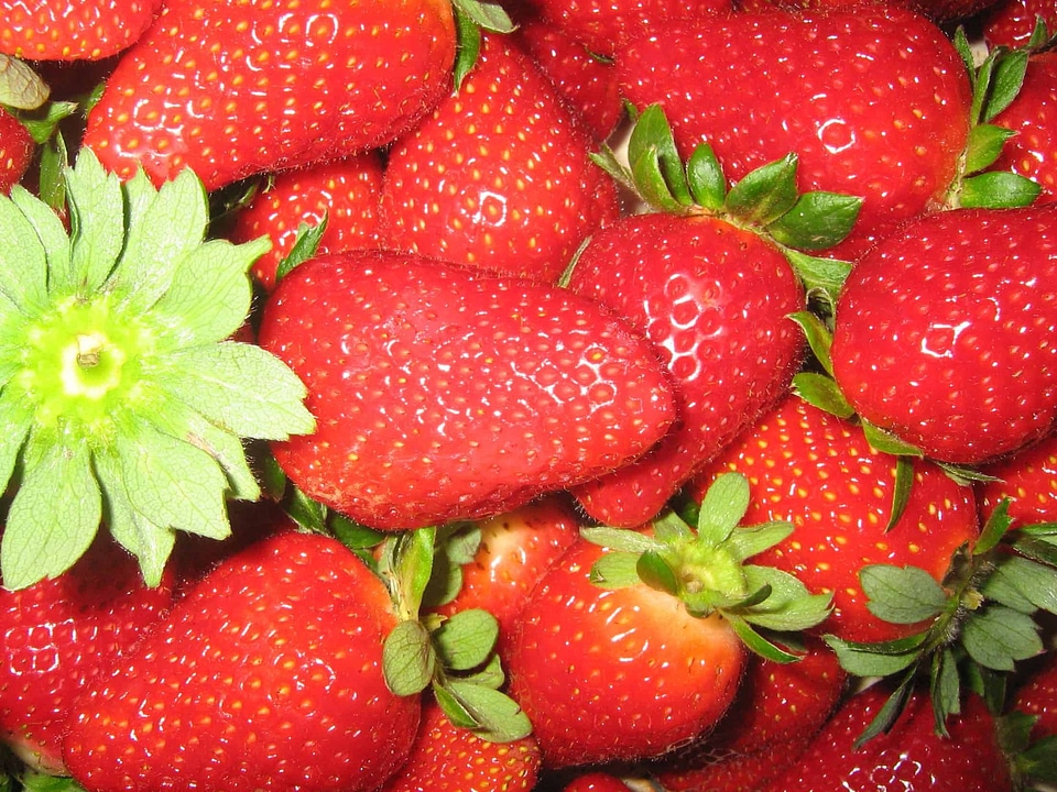 Berry calorie delicious