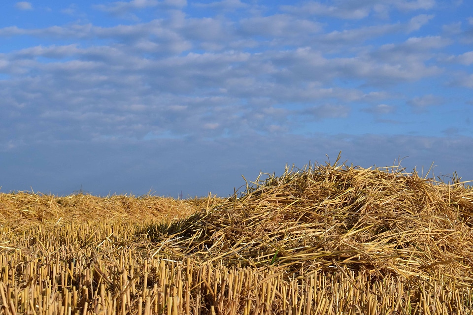 Agriculture countryside field