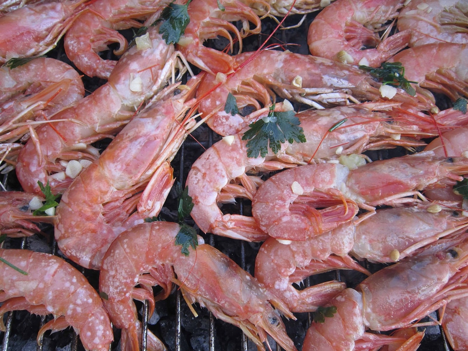 Crustacean diet food