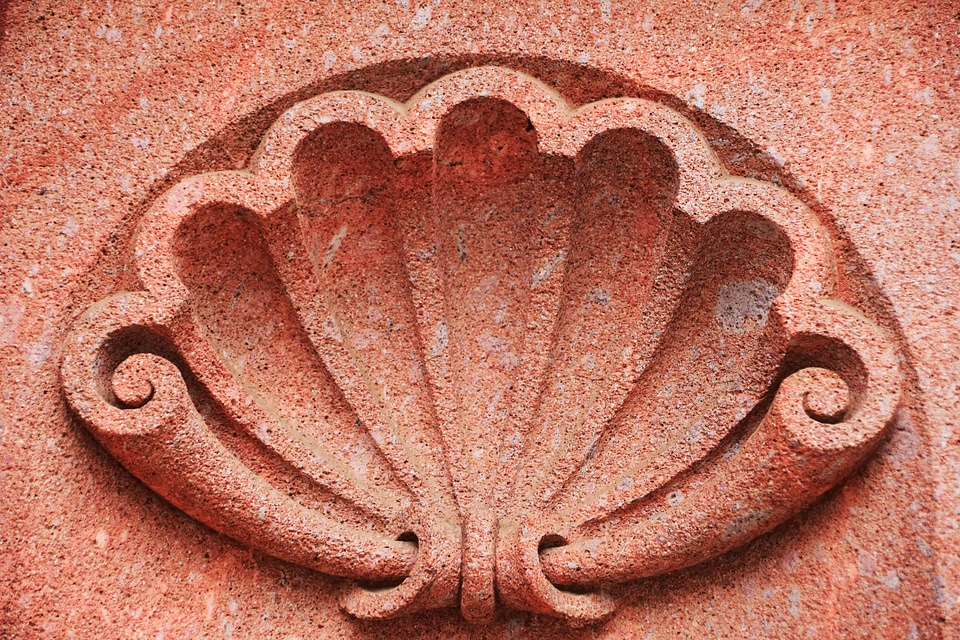 Architecture art building