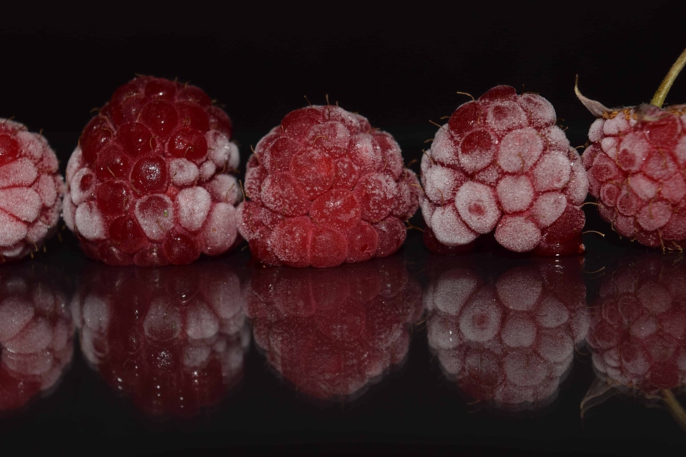 Berry calorie delicious