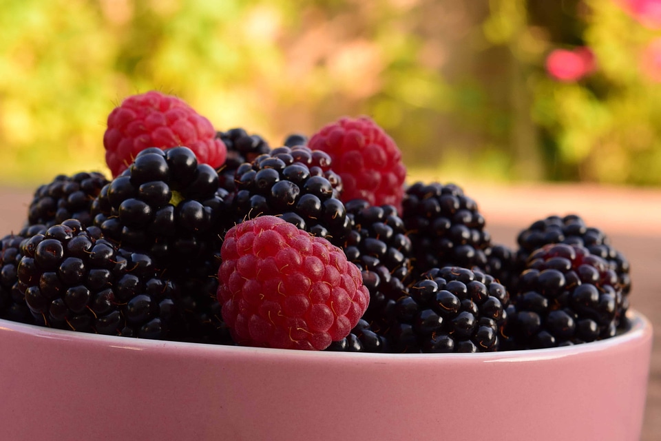 Beautiful Photo berry biscuit