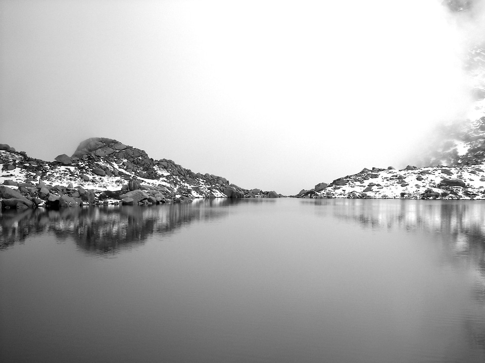 Winter nature white