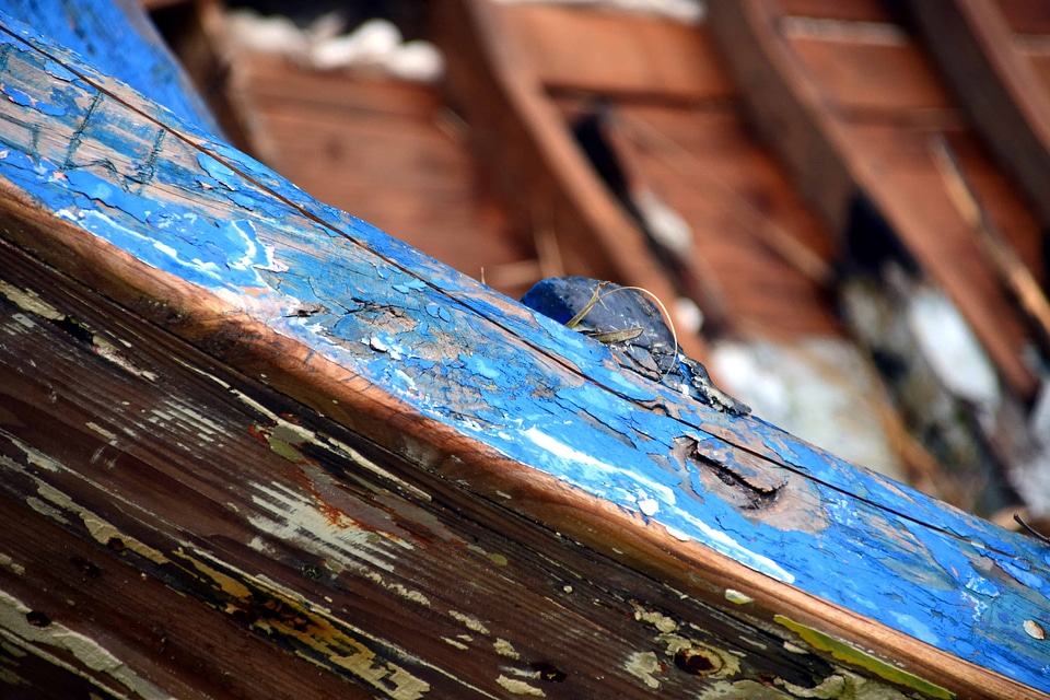 Blue detail door