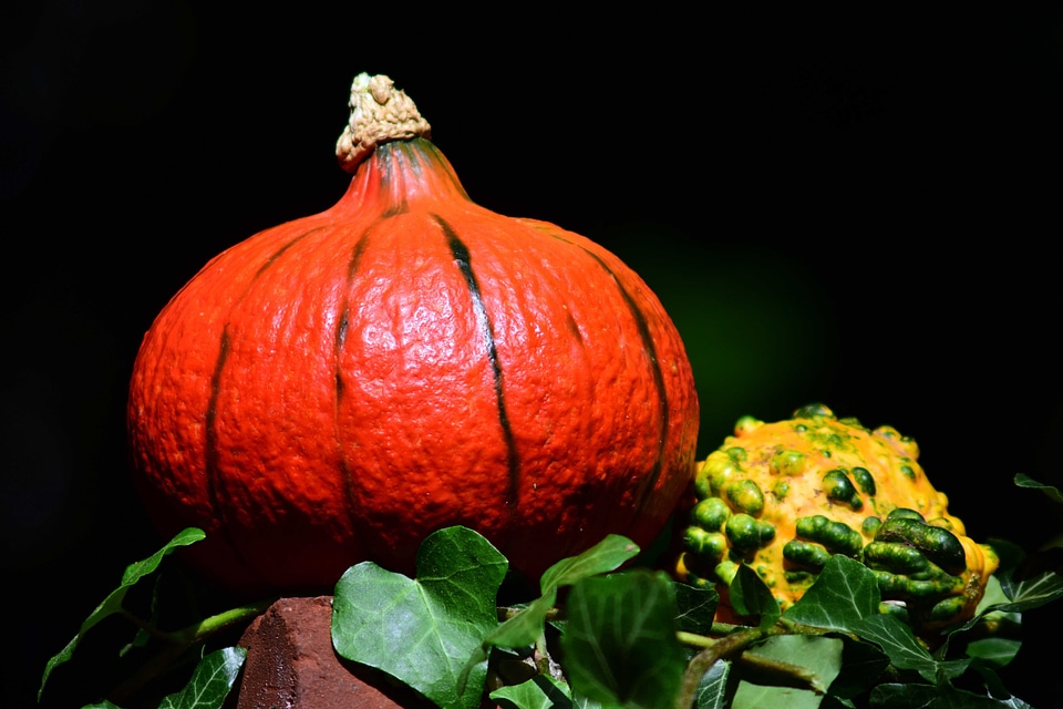 Autumn autumn season beautiful photo