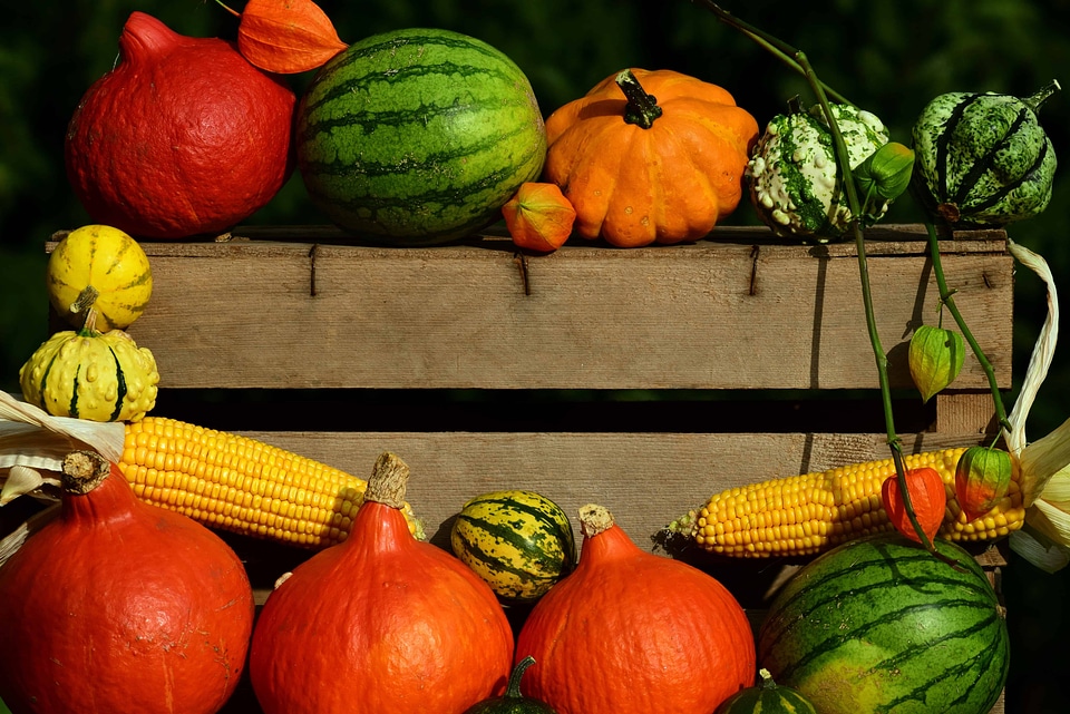 Agriculture autumn autumn season