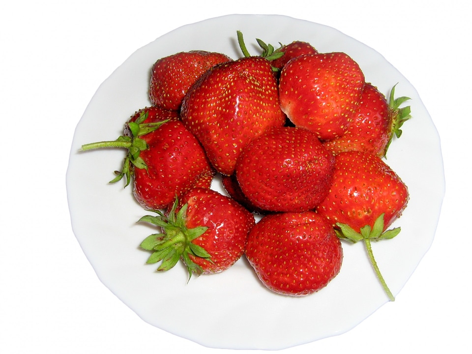 Food sweet garden