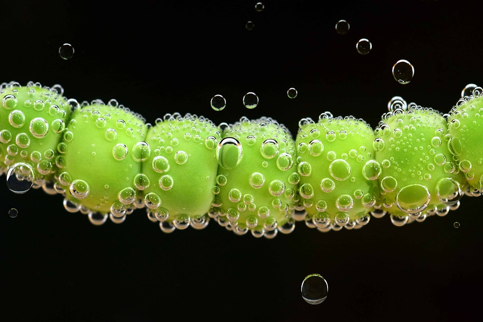 Art beautiful photo bubble