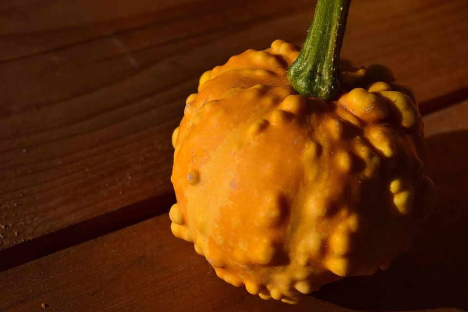Autumn autumn season calorie