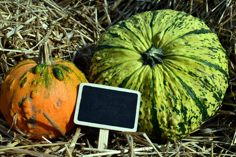 Autumn autumn season calorie