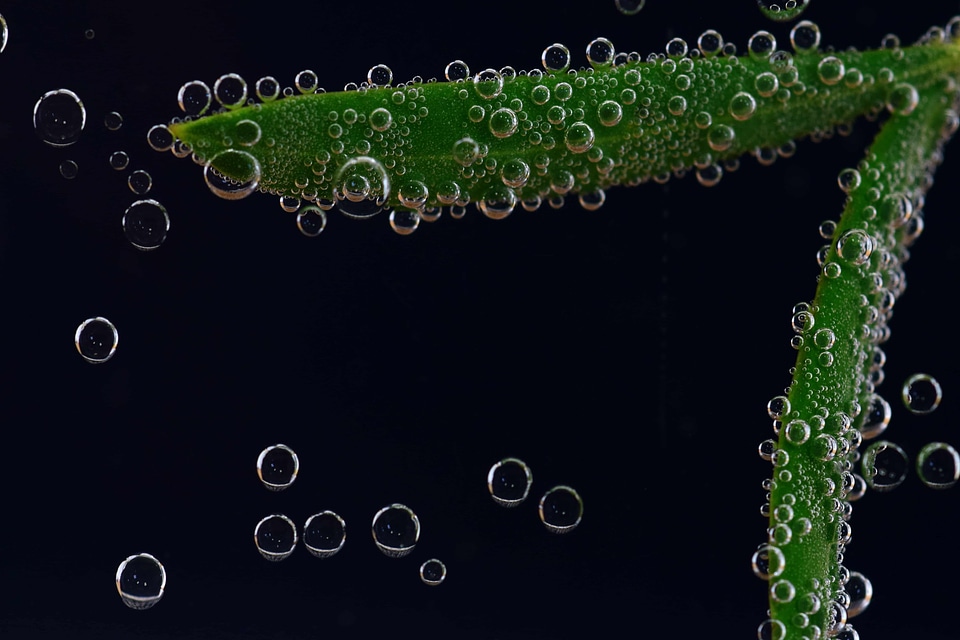 Bubble dark darkness