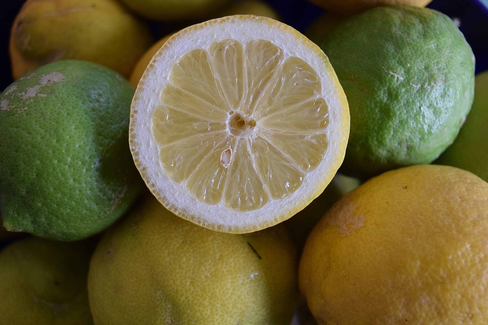 Citrus diet dietary