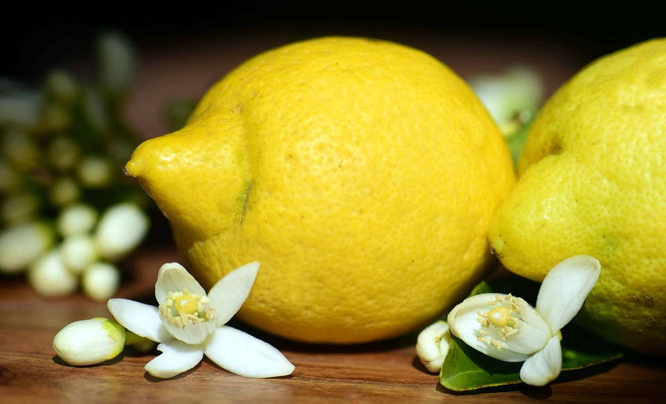 Beautiful Photo citrus diet