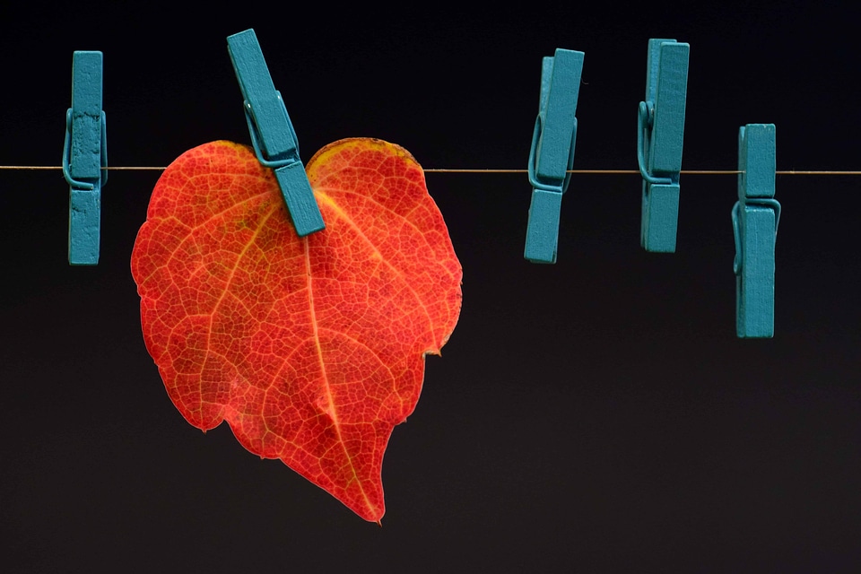 Autumn autumn season decoration