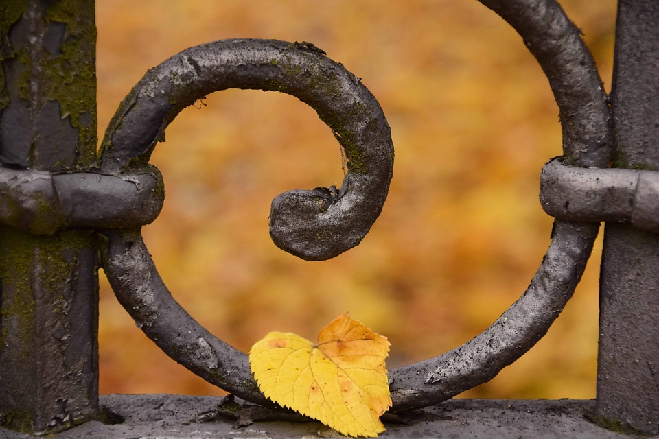 Autumn autumn season branch