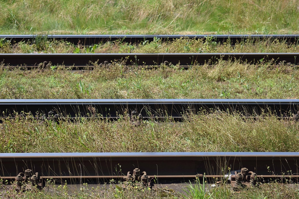 Fast grass outdoor