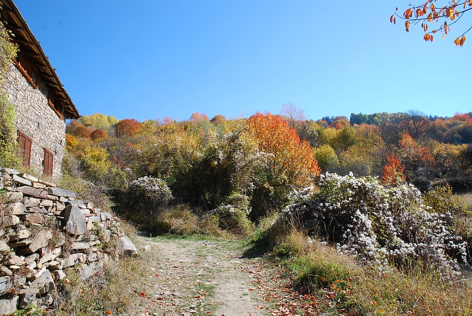 Wilderness scenery natural