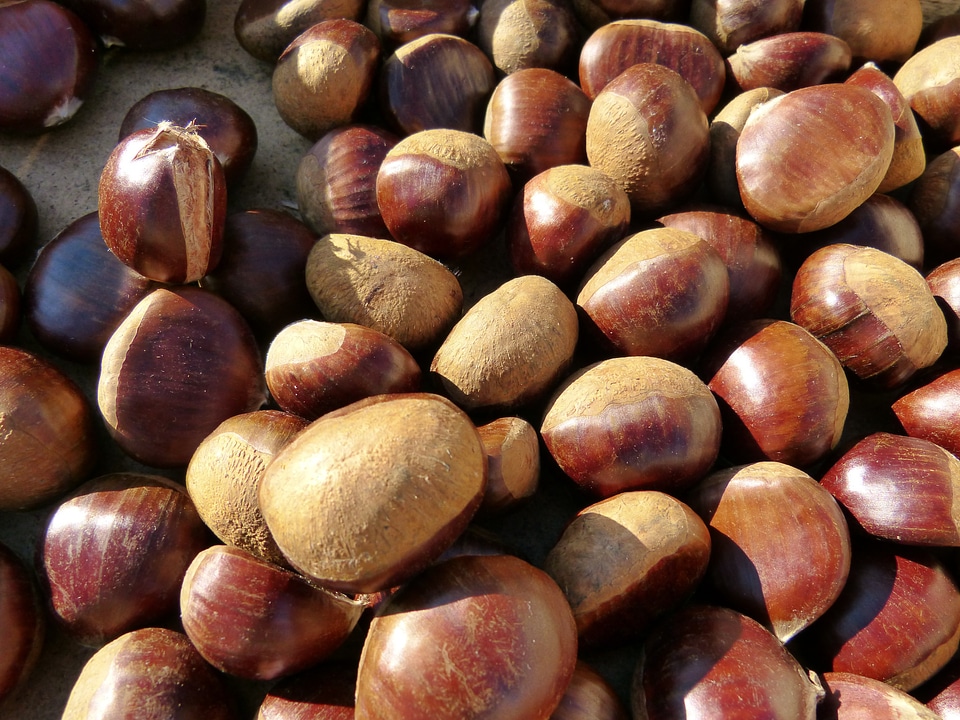 Market sale food